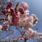 Cherry Blossom Locket - Handmade and Kinetic - Image 9